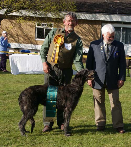 best puppy breed show 